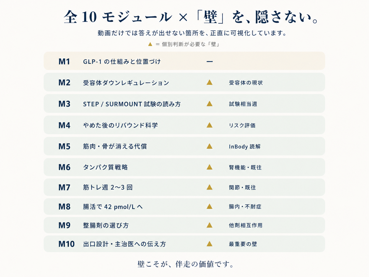 全 10 モジュールの一覧と各モジュールの「壁」(個別判断が必要なポイント) の可視化